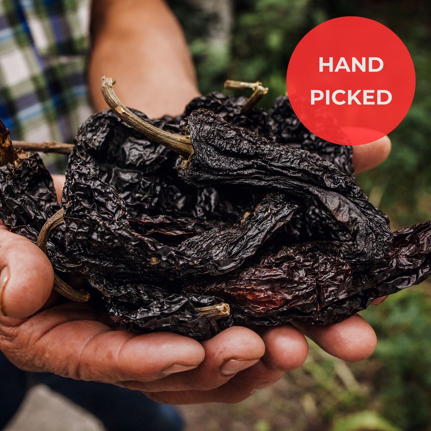 Dried Ancho Chiles | Mild, Sweet & Smoky Peppers for Moles, Enchiladas & Mexican Recipes