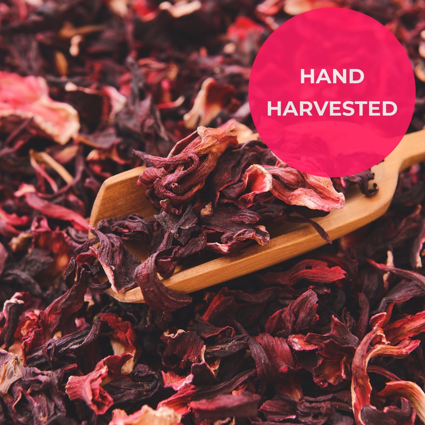 Dried Hibiscus Flowers (Flor de Jamaica) | Tart & Refreshing for Tea, Aguas Frescas & Recipes